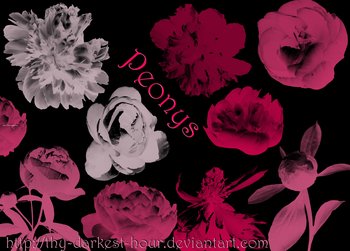 Peony