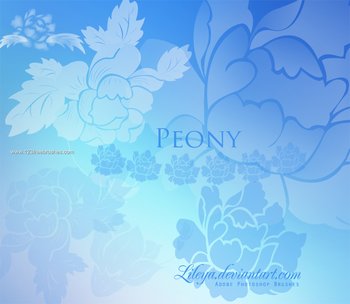 Peony