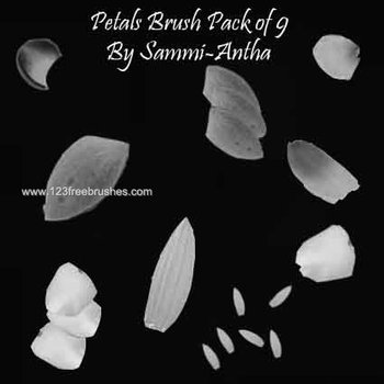 Petal