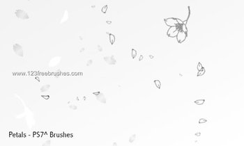 Petal