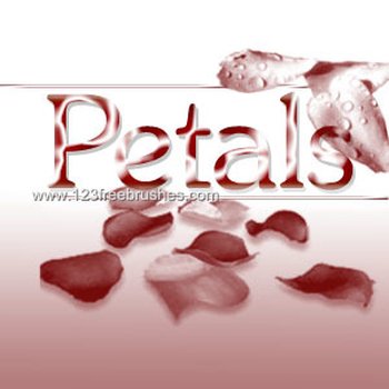 Petals