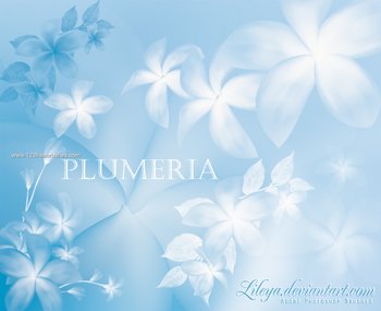 Plumeria