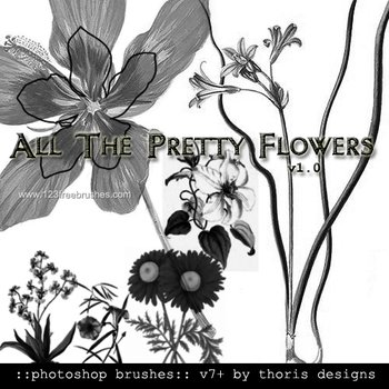 Pretty Flowers