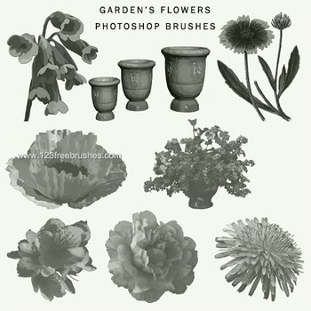 Pretty Flowers