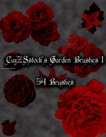 Red Roses