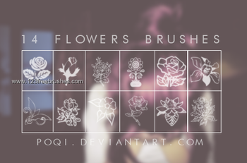 Rose Flowers Outline