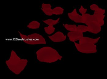 Rose Petal