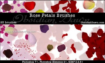 Rose Petal