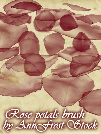 Rose Petals