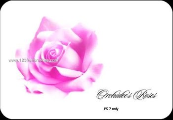 Roses