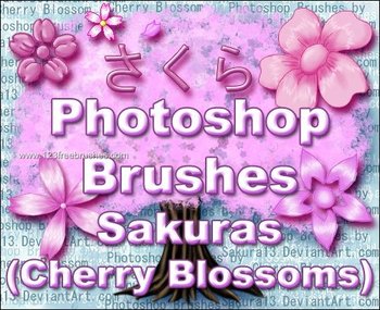 Sakura Flowers