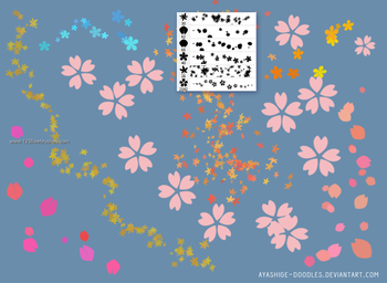 Sakura – Momiji – Petals