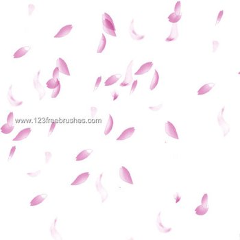 Sakura Petal