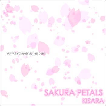 Sakura Petals