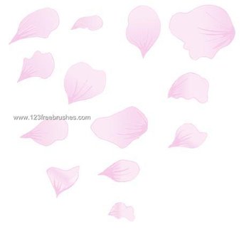 Sakura Petals