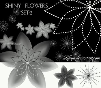 Shiny Flowers