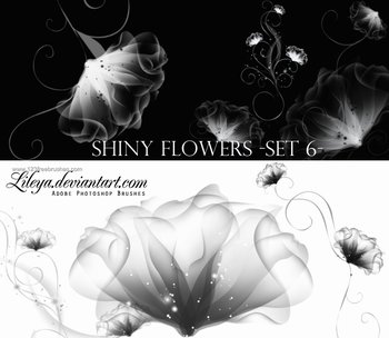 Shiny Flowers