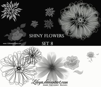 Shiny Flowers
