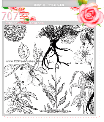 Sketchy Flower