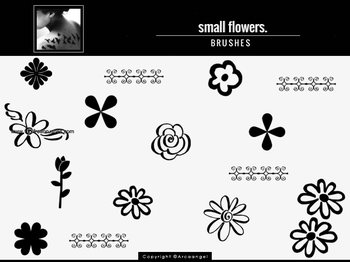 Small Flowers