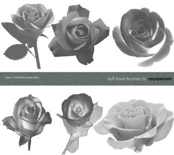 Smooth Roses