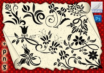 Spring Flowers