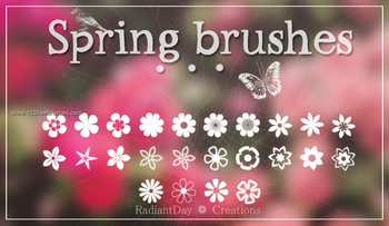 Spring Flowers