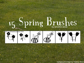 Spring Flowers