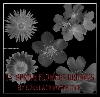 Spring Flowers