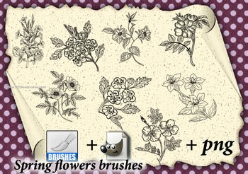 Spring Flowers