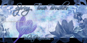 Spring Flowers