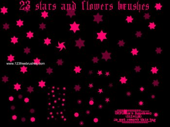 Stars and Flower