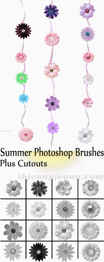 Summer Flowers