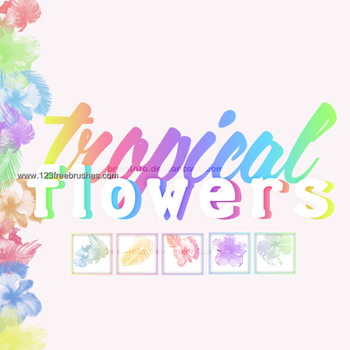 Tropical Flowers