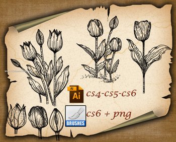 Tulip