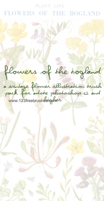 Vintage Flower