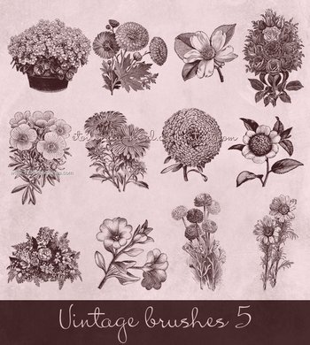 Vintage Flowers