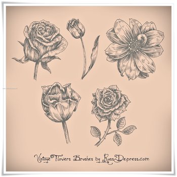 Vintage Flowers