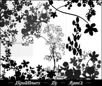 Wild Flowers
