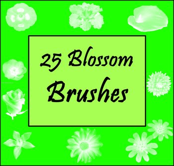 Wonderful Blossom