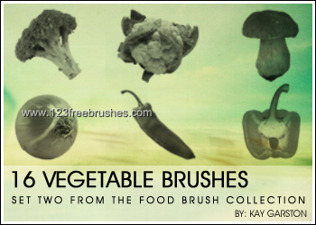 Food Collection – Vegetable
