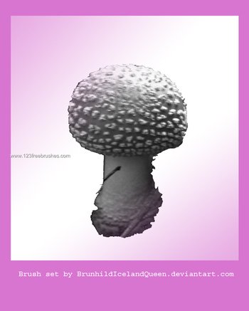 Mushrooms 2