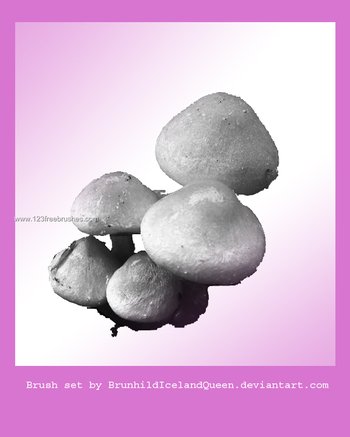 Mushrooms 3