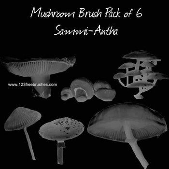 Mushrooms 6