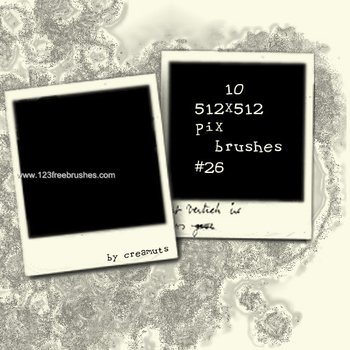 Blank Polaroid Frames