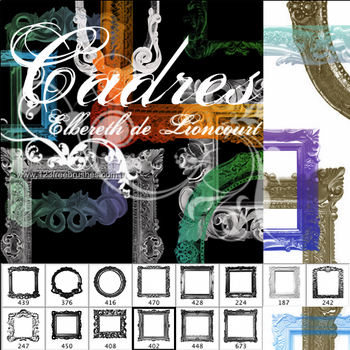 Cadres Ornate Vintage Frame
