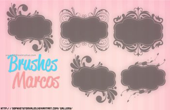 Floral Ornate Frames