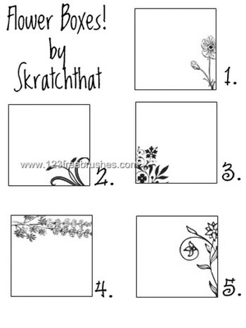 Flower Boxes