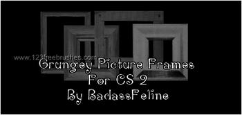 Grunge Picture Frames