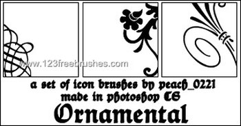 Ornamental Icon Frame